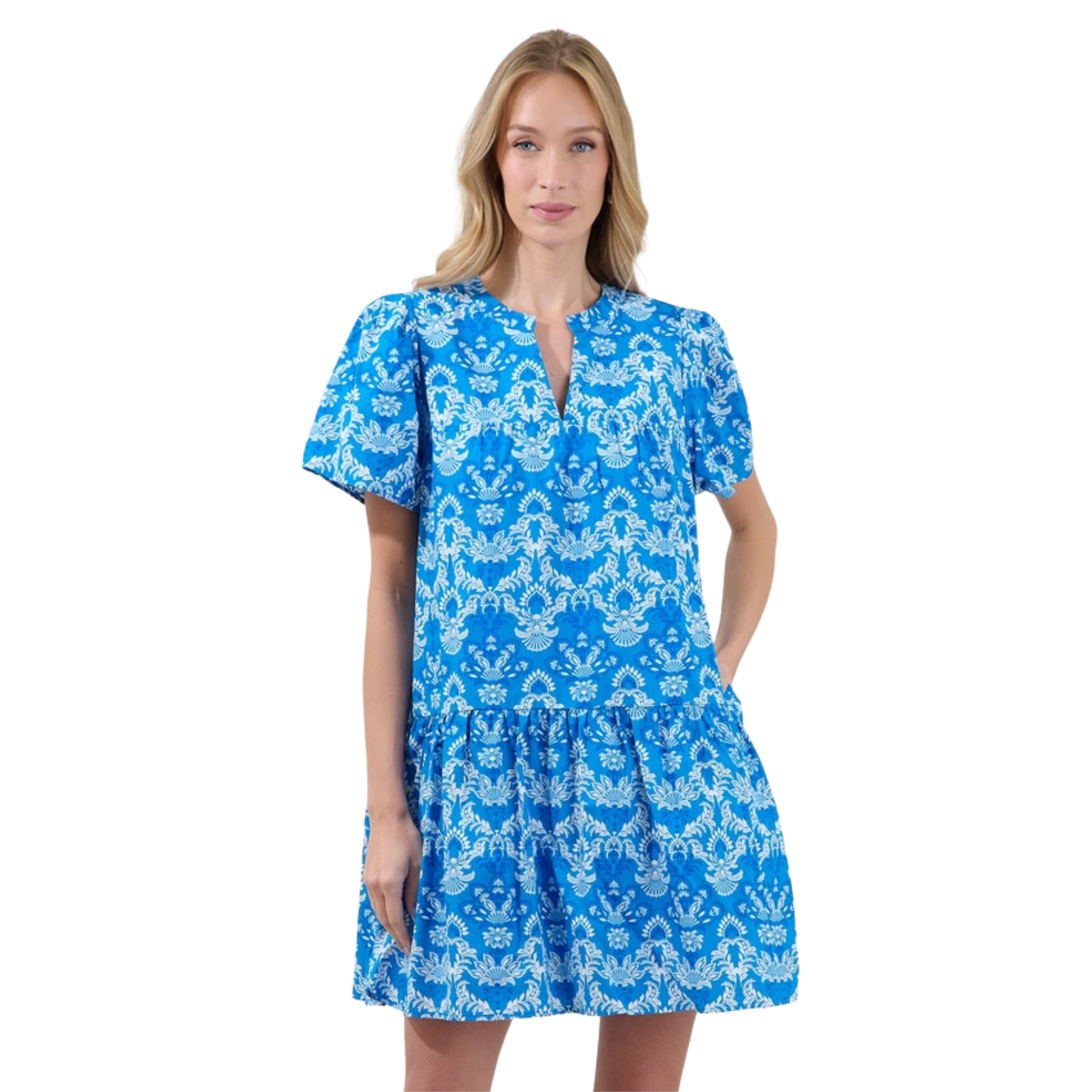 Blue Willow Tiered Mini Dress